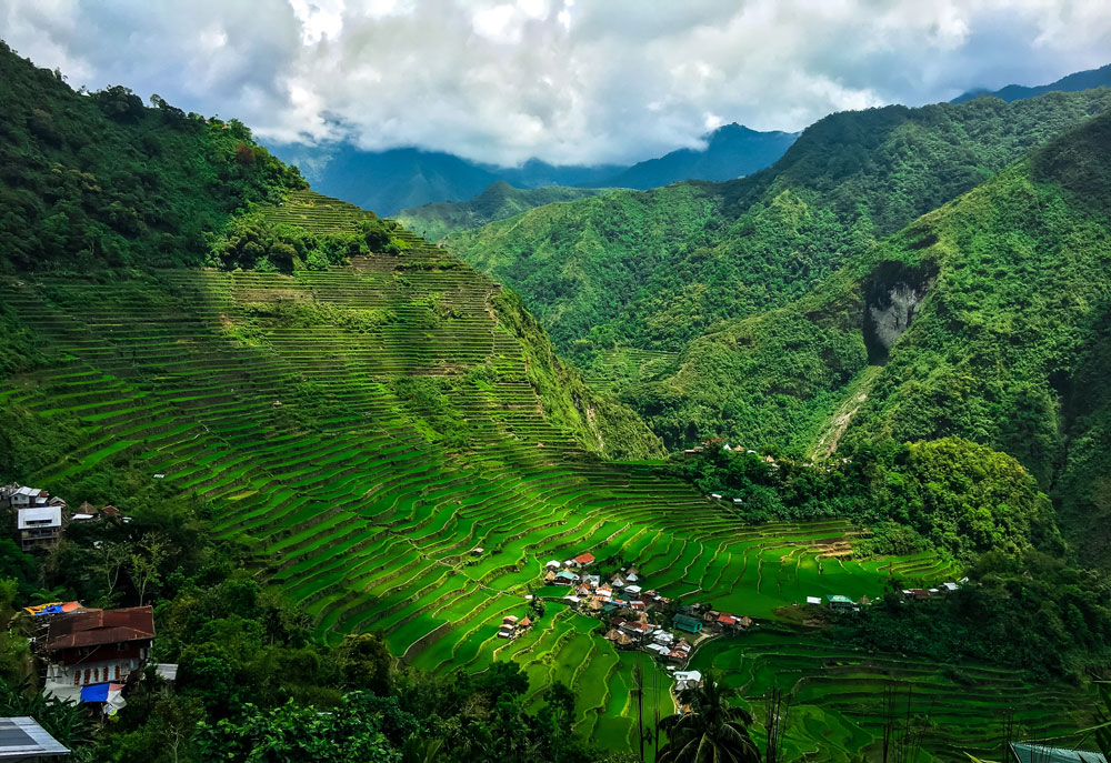 Tea gardens and mountains in Darjeeling