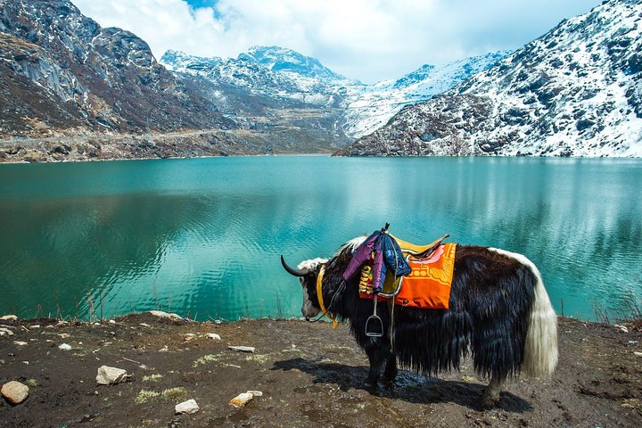 Kanchenjunga Nathu La Pass Gangtok capital Sikkim