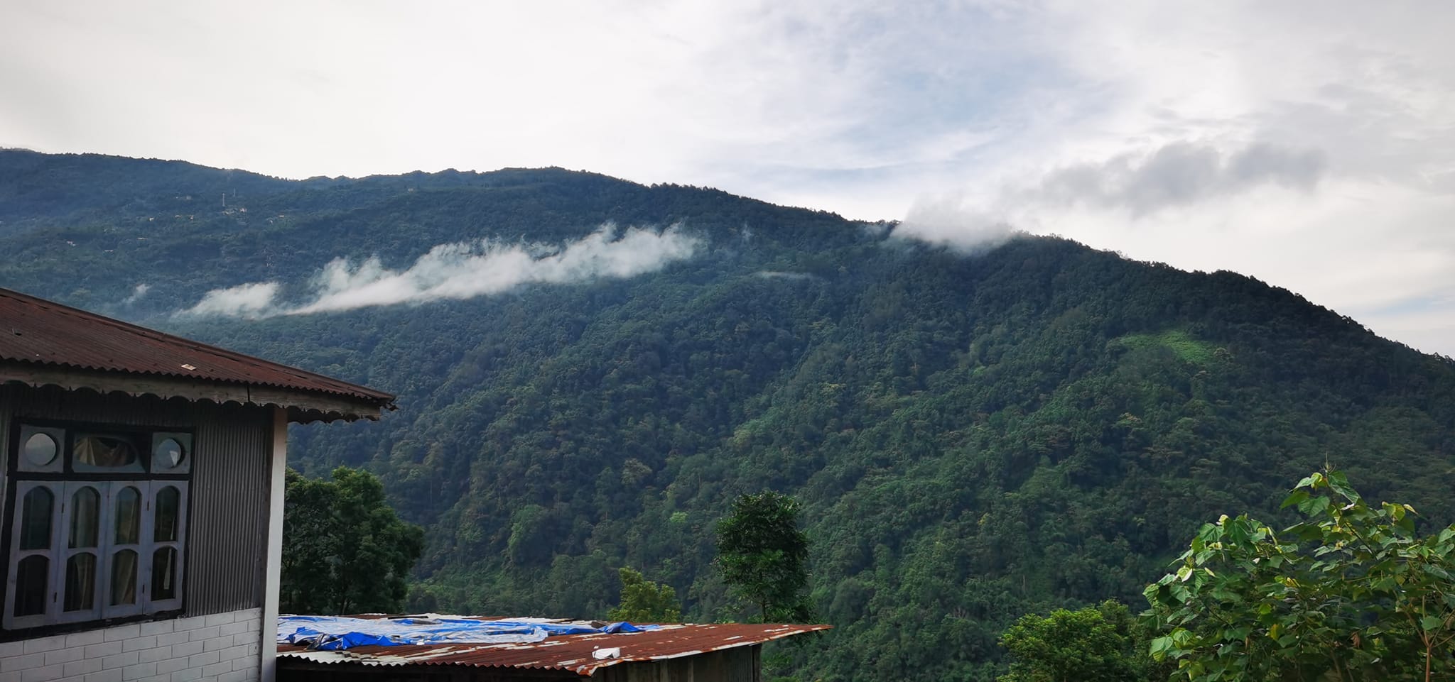 Sittong Khasmahal offbeat hamlet Kurseong Orange Village